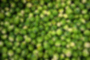 Brussels Sprouts