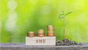 Doanh Nghiệp Nhỏ Có Cần Làm ESG Không?