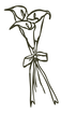 foto 13 copia2.png