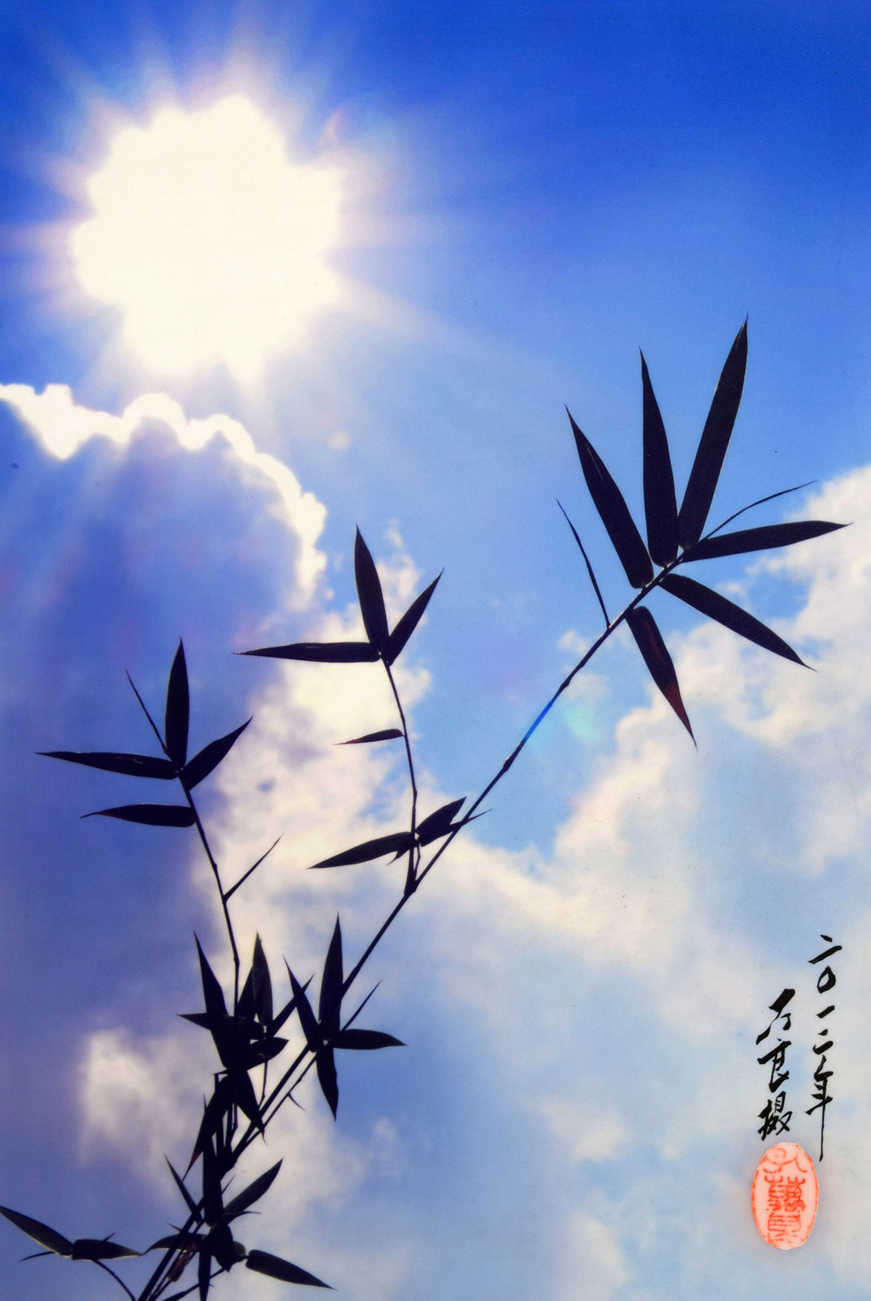 BAMBOO SERIES 竹缘系列 (2012) | M.L. KHONG 孔万良