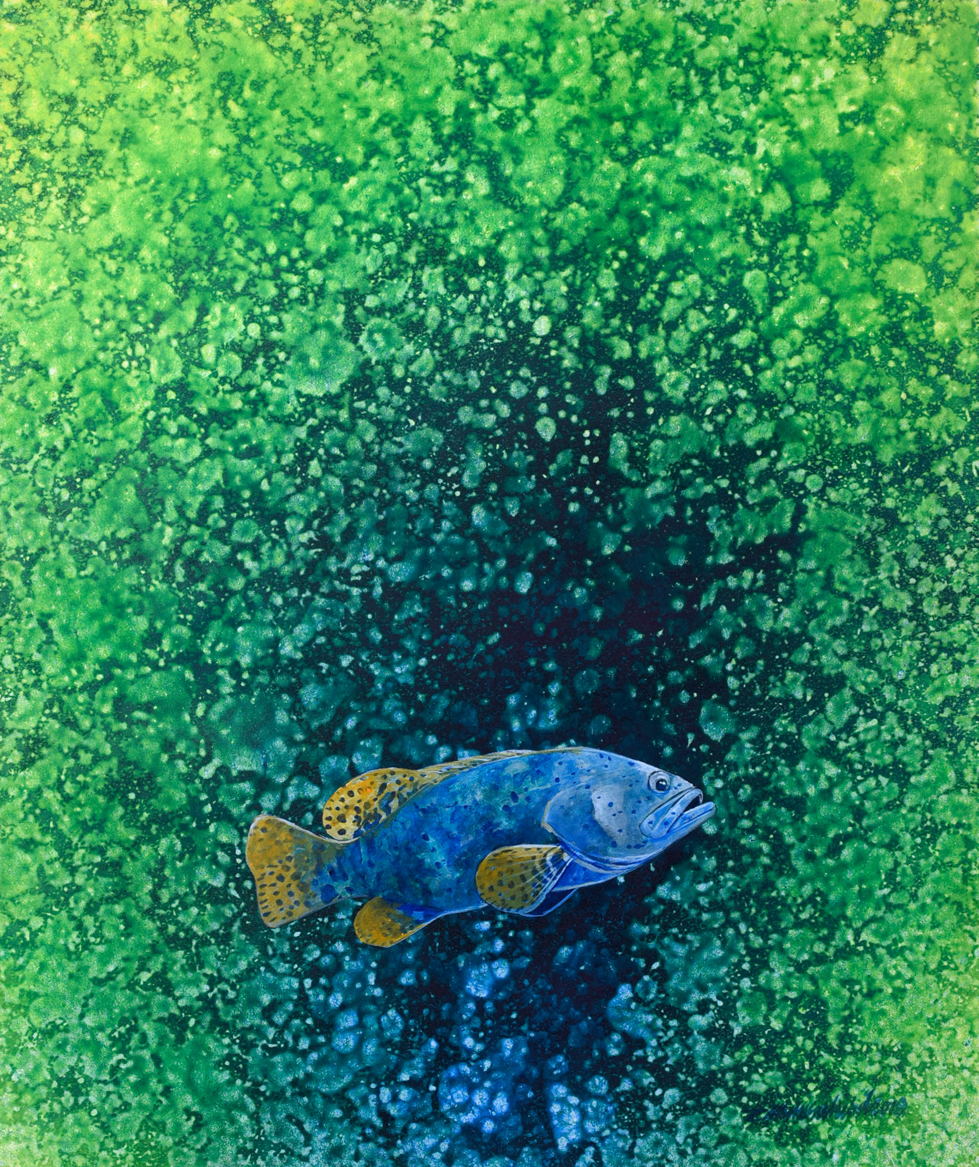 GROUPER SERIES #40, 2018 石斑鱼系列 #40 | ZAIMIE SAHIBIL, DR