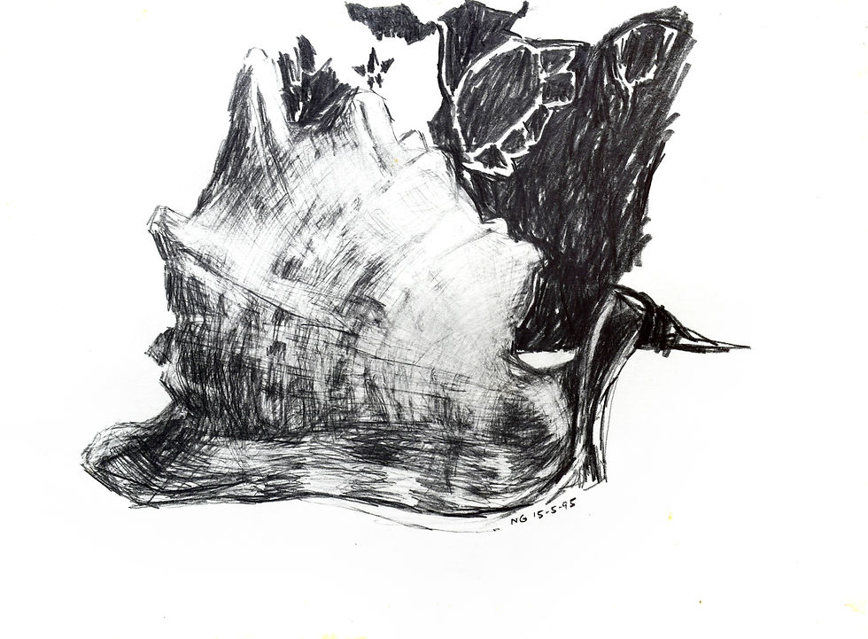 Thumbnail: DRAWING #80: SEASHELL SERIES 素描 #80：海螺系列 | NG HON LOONG 吴汉龙