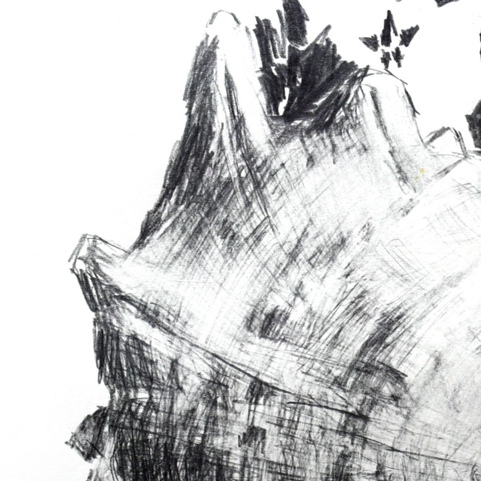 Thumbnail: DRAWING #80: SEASHELL SERIES 素描 #80：海螺系列 | NG HON LOONG 吴汉龙