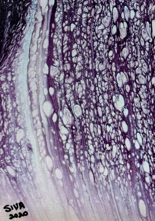 Thumbnail: THE PURPLE WEB III (2020) by Sivaneswari Sinnathamby