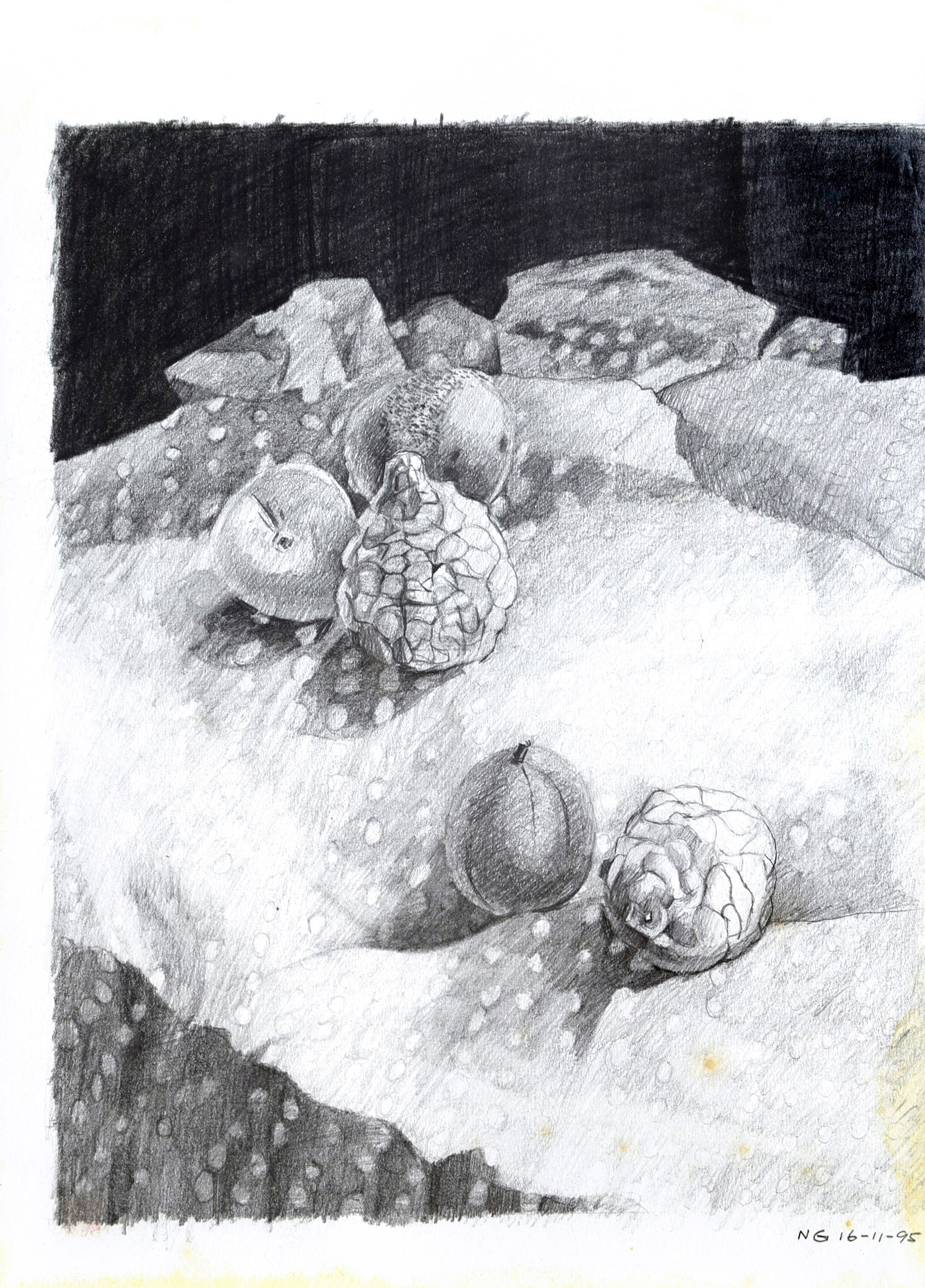 DRAWING #91: ARTICHOKES & GUAVAS 素描 #91:洋薊及番石榴 | NG HON LOONG 吴汉龙