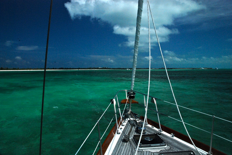 38112308-D781-4021-80DE-D518B1C5A8E0_1_105_c.jpeg