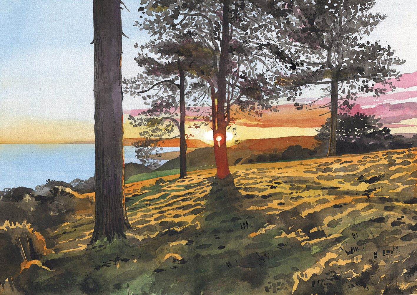 Exmoor Print "Sunrise Through the Pines 2" from an Original Painting By Leo