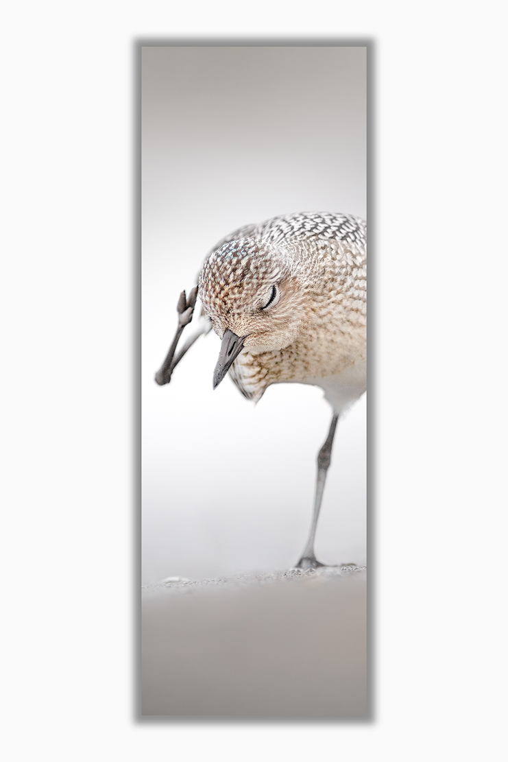 Miniature : Douceur - Signet 2"x6"