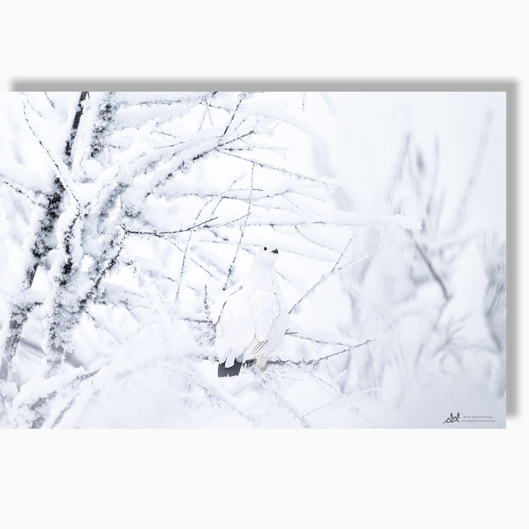 Présence invisible - Toile