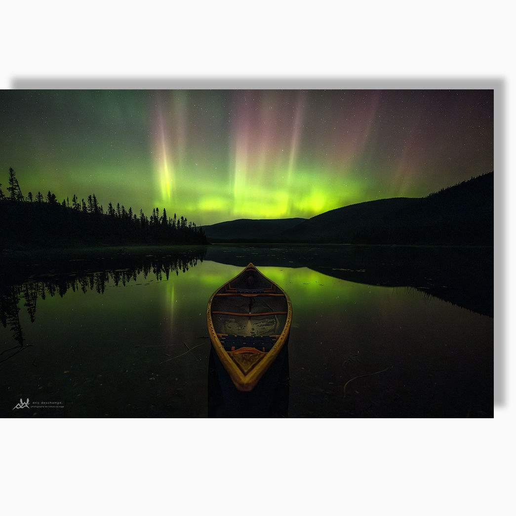 Canaurore - Impression