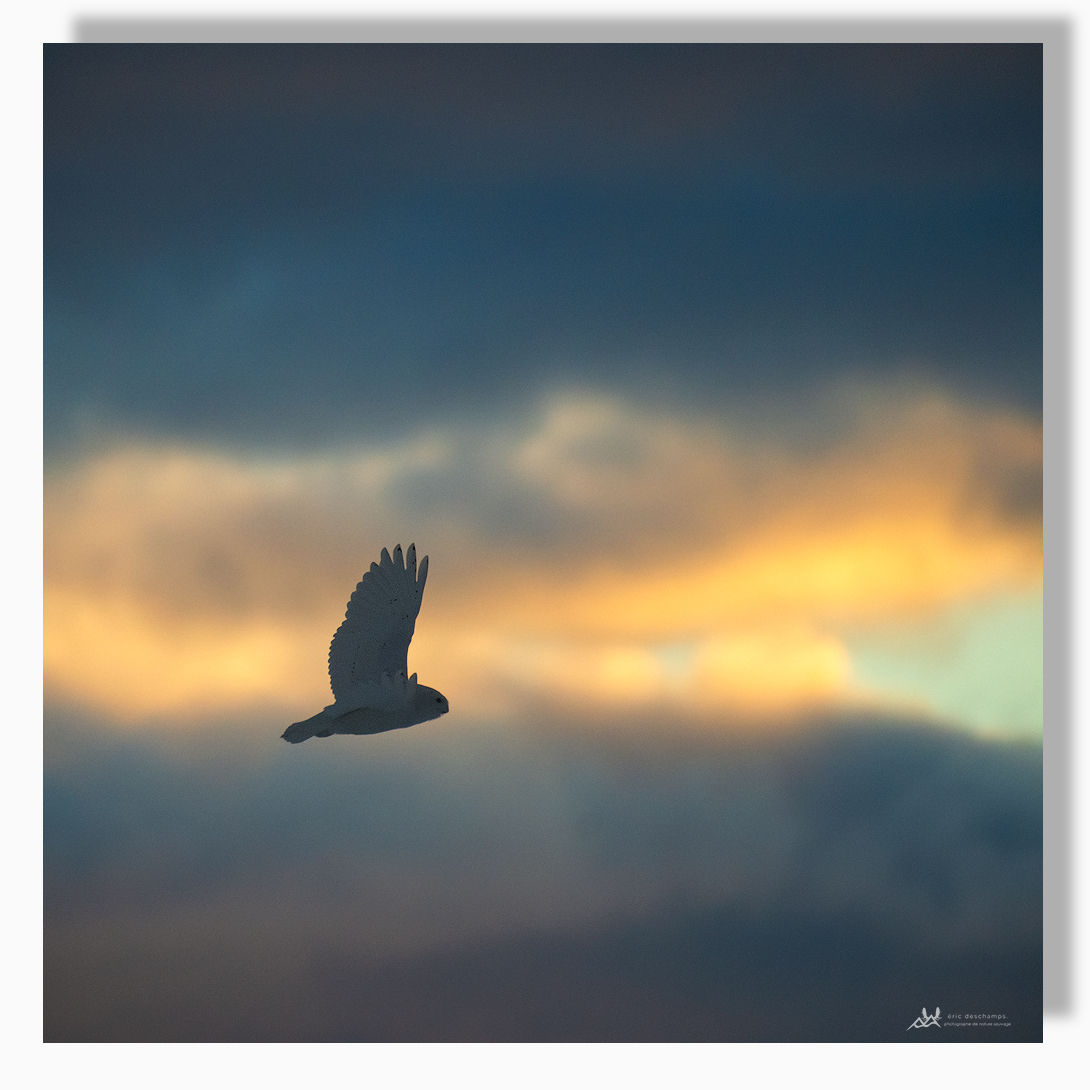 Vol vers l'éclaircie