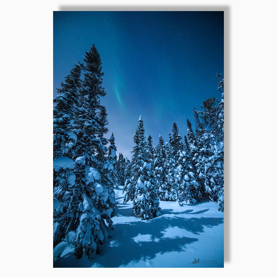 Bleu James Eeyou Istchee