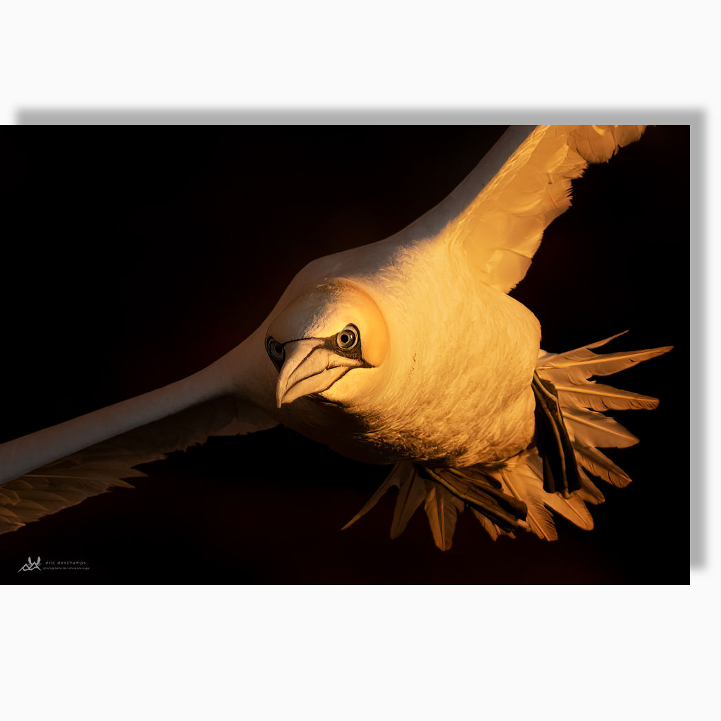 Entre ombre et lumière