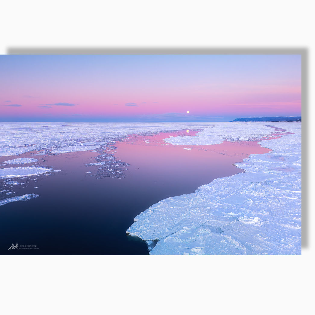 Horizon rosé - Toile