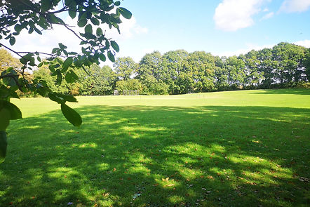 Recreation Field View.jpg