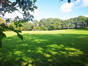 Recreation Field View.jpg