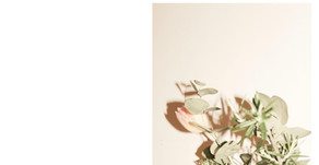 Rie Nishibuchi (Flower artist)