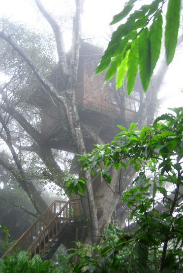 treehouse, Costa Rica