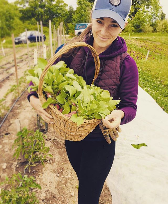 Jamie harvesting at Hidden Acres