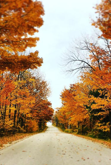 Fall colors, Wisconsin