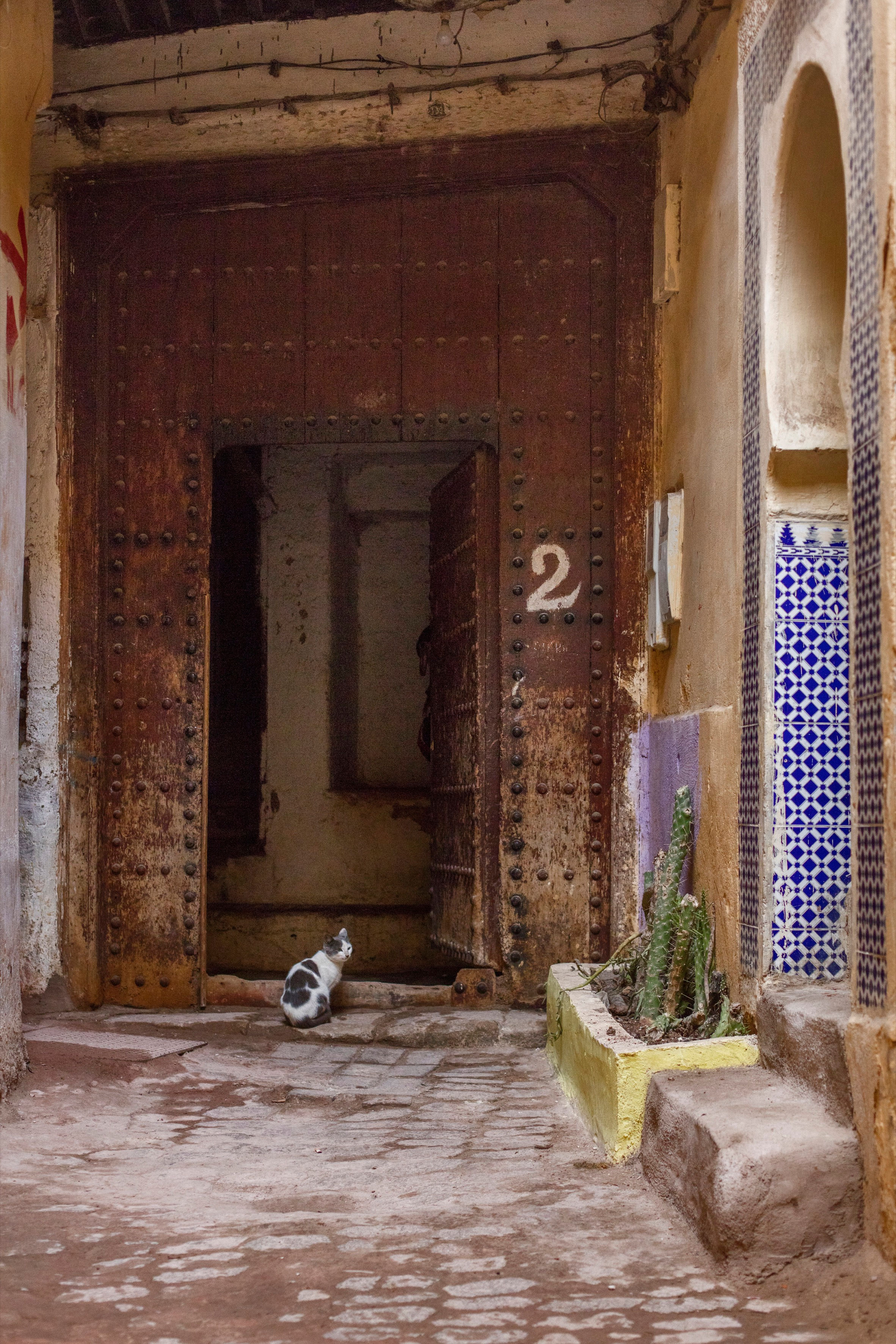 RIAD FÈZ MÉDINA