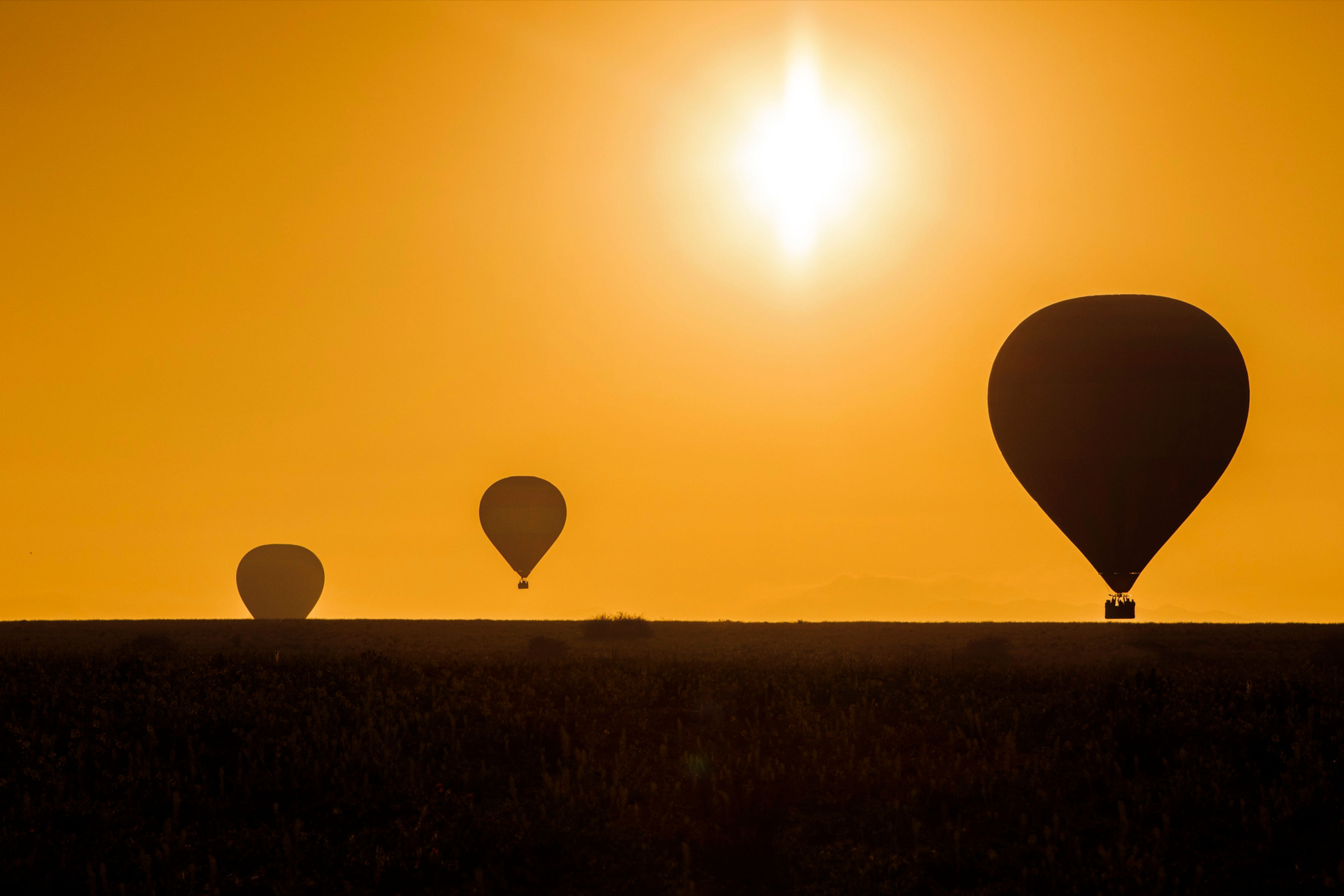 SILHOUETTE DE BALLON