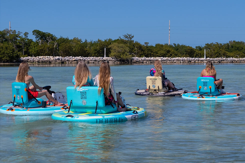 goboatgroup2.jpg