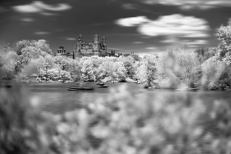 Miniatura: InfraRED
