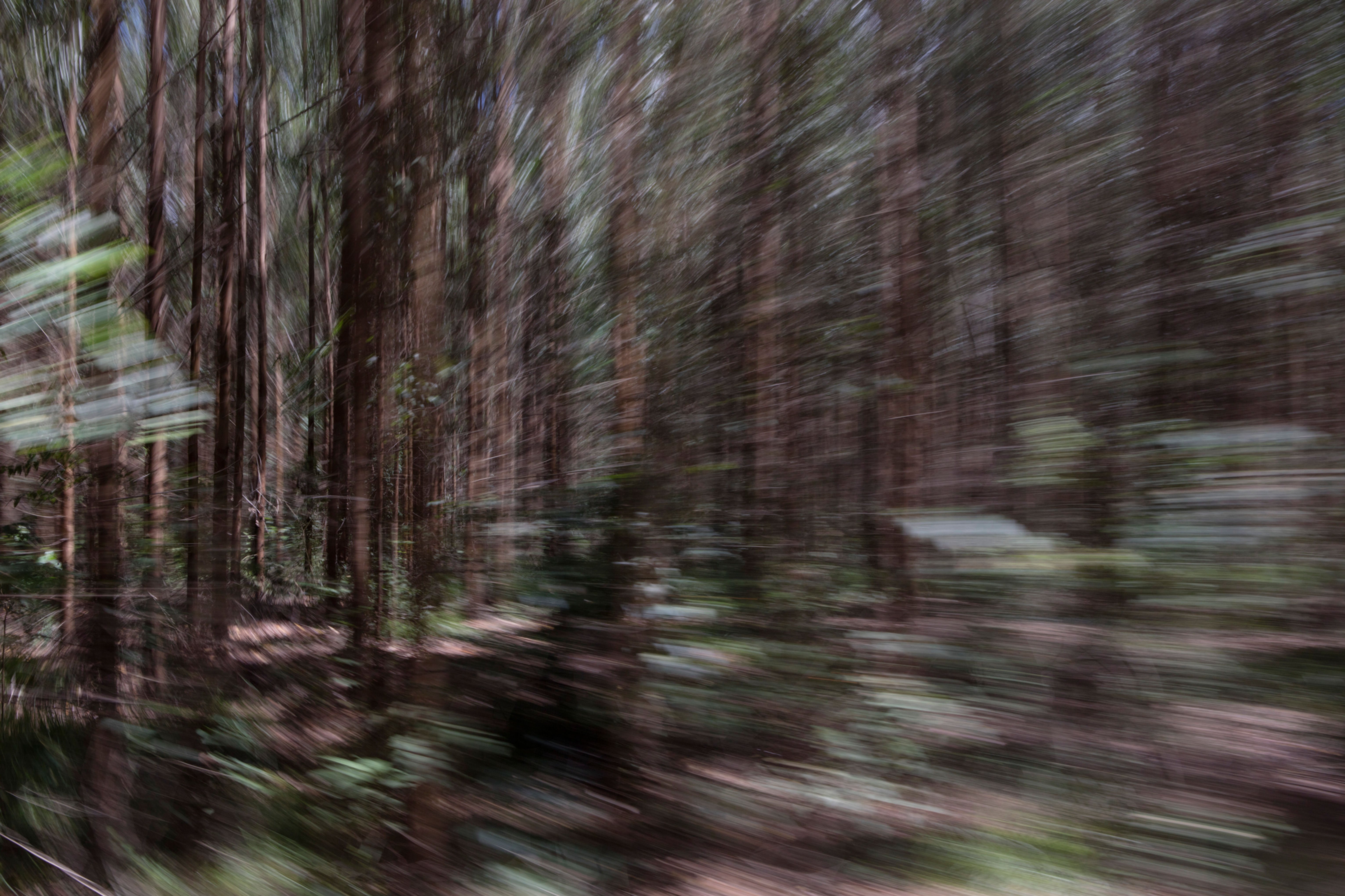 SÉRIE "EM MOVIMENTO"