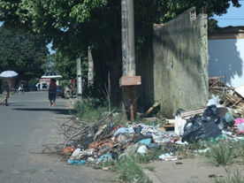Com entulho e até descarte de animais mortos, terreno incomoda moradores