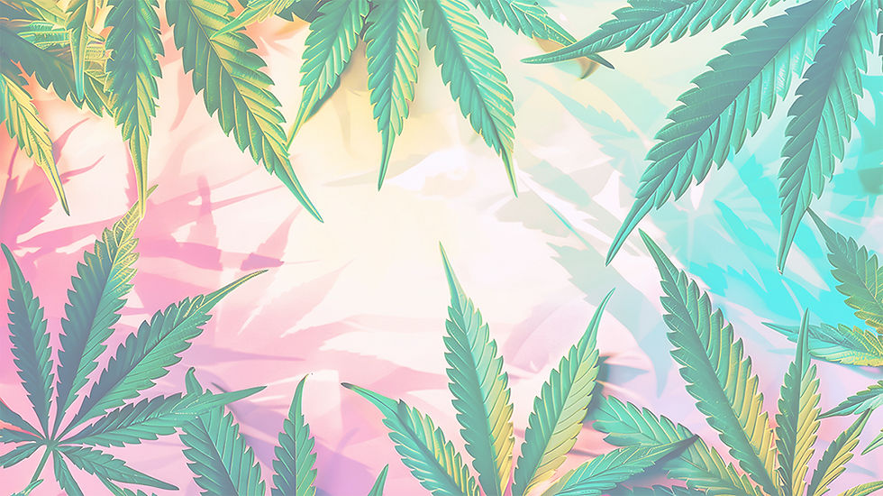 First Intro section bg 1000_edited_edited.jpg