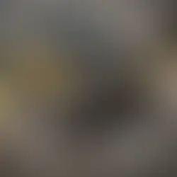 How to Choose the Right Grapple: