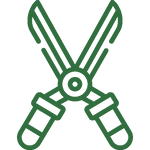 Professional horticultural advice and specialized hedge pruning services for healthy garden growth.