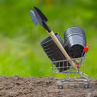 Professional softscaping and garden bed planting in Essendon