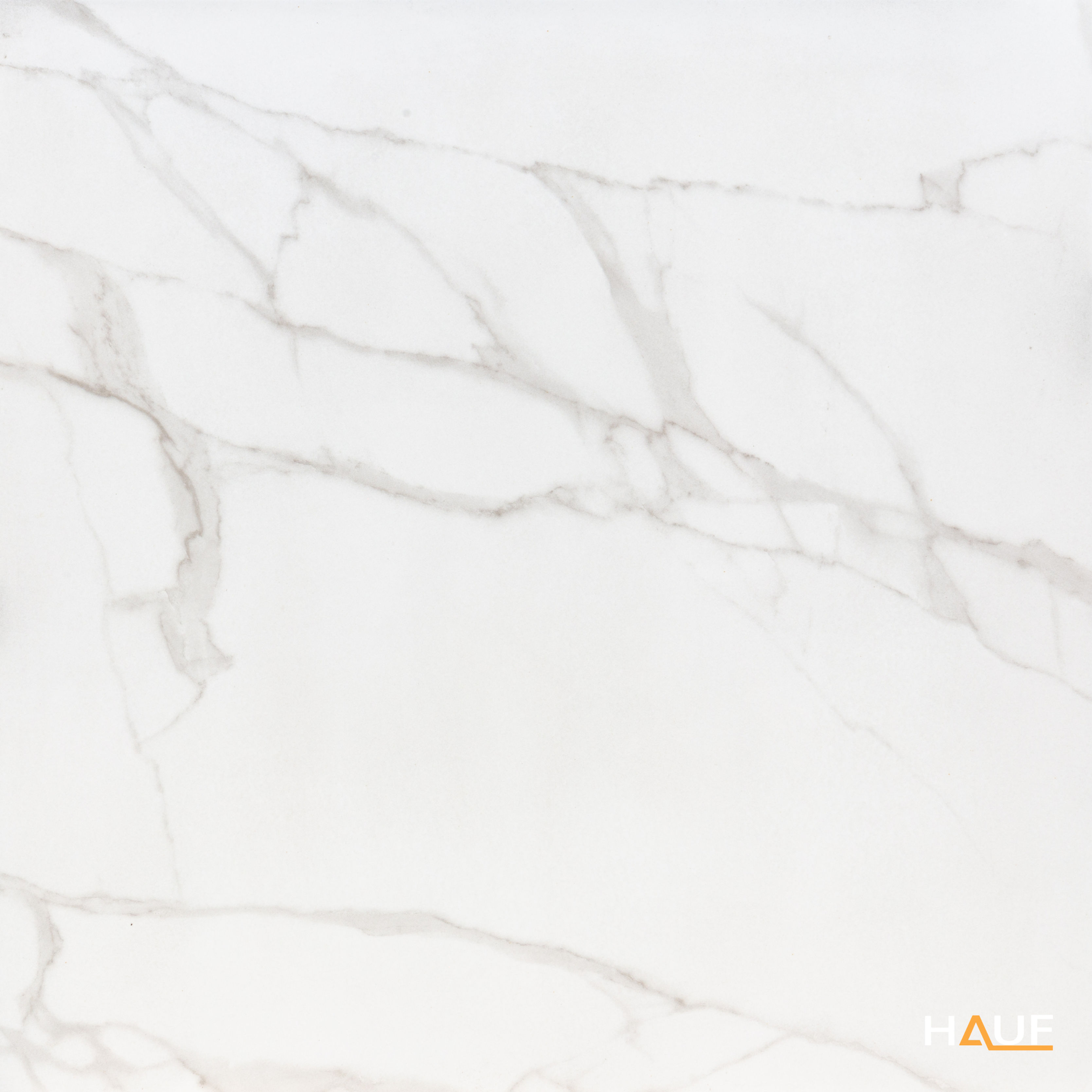 STATUARIO BRI 120X120