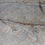 Thumbnail: HARMONY NATURAL CARVED 60X120