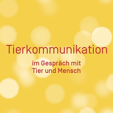 Tierkommunikation: Im Gespräch mit Tier und Mensch