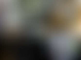 Best Aluminium Door Installers Melbourne for Home Renovations