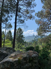 IMG_0573.jpeg