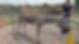 VID-20260228-WA0130_exported_62795.jpg