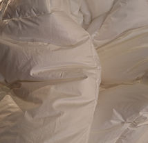 WhatsApp Image 2026-02-22 at 10.44.28.jpeg