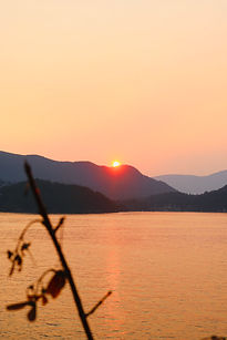 IMG_0381.jpg