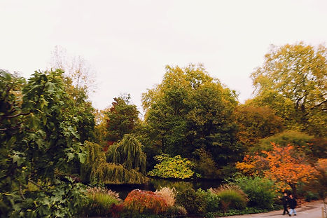 Walk through the park