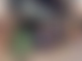 INSTALACIÓN DE CONTENEDORES DE BASURA EN VENTANAS