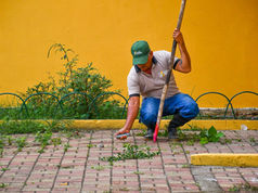 MANTENIMIENTO DE LAS ÁREAS VERDES DEL OARQUE DE AGUAS FRÍAS DE MEDELLÍN