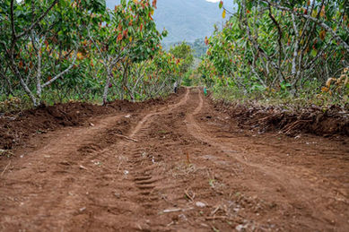 NUEVOS CAMINOS RURALES EN LA PARROQUIA CHACARITA