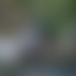 VENTANAS: TRABAJOS DE LIMPIEZA EN EL ESTERO EL LAGARTO