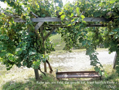Einladung zur Langsamkeit