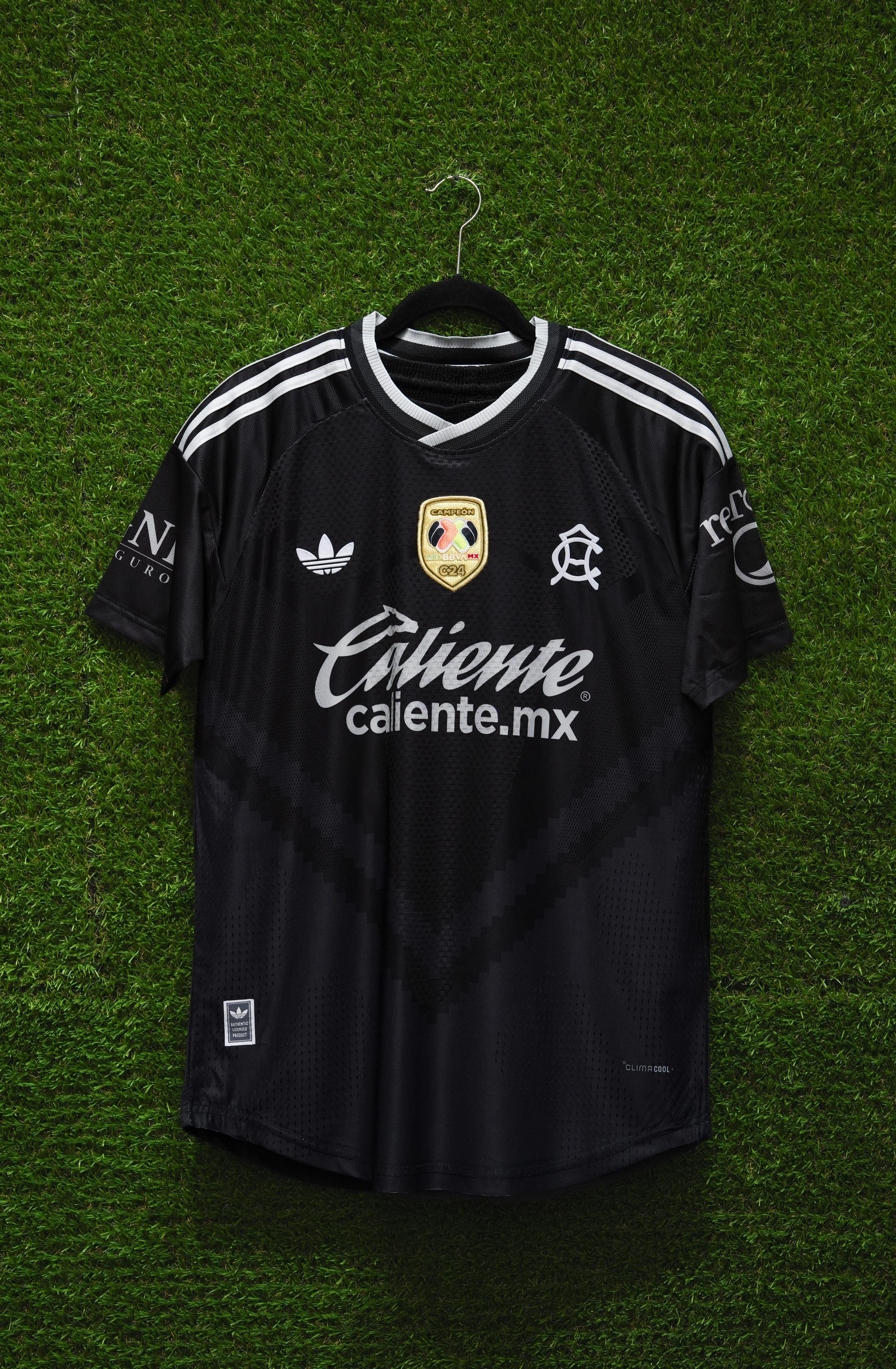 América Visita Adulto 2026