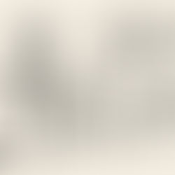 Un líder enseñando y mostrando el camino...